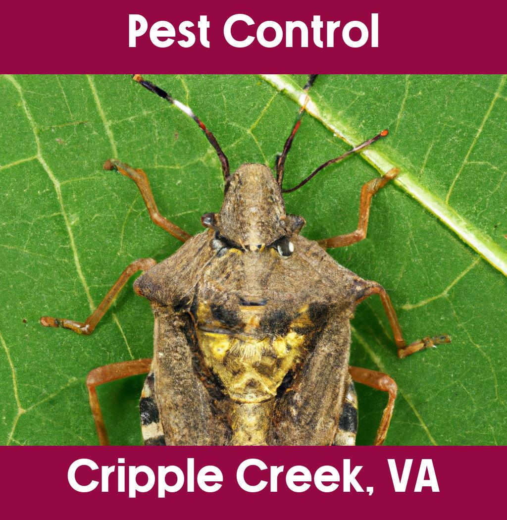 pest control in Cripple Creek Virginia