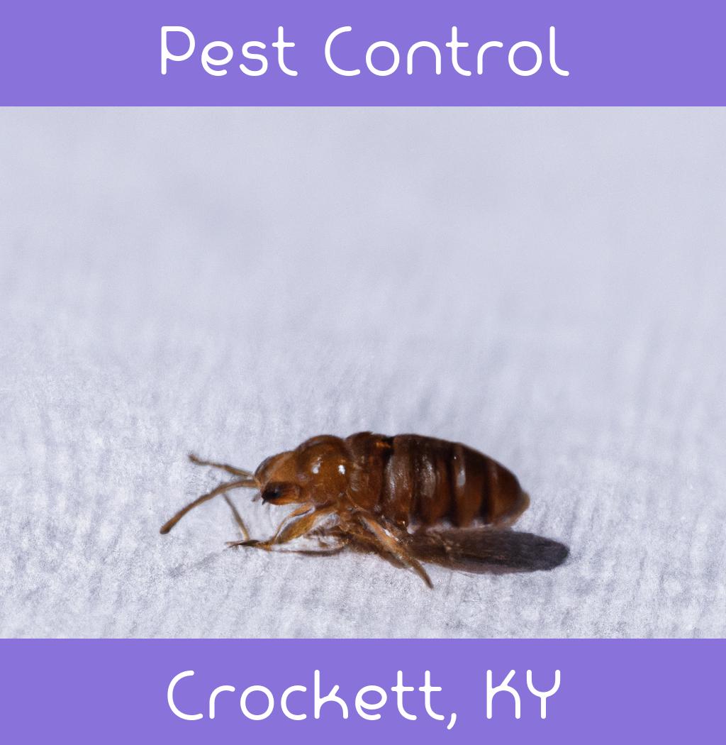 pest control in Crockett Kentucky