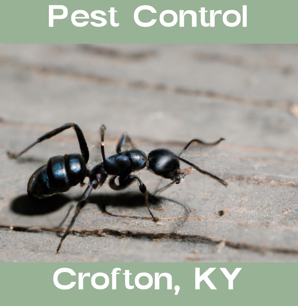 pest control in Crofton Kentucky