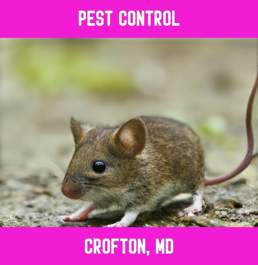 pest control in Crofton Maryland