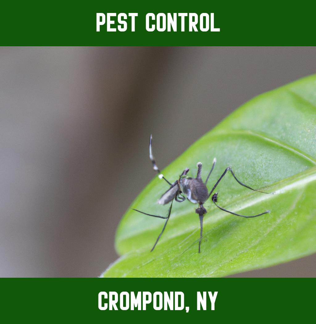 pest control in Crompond New York