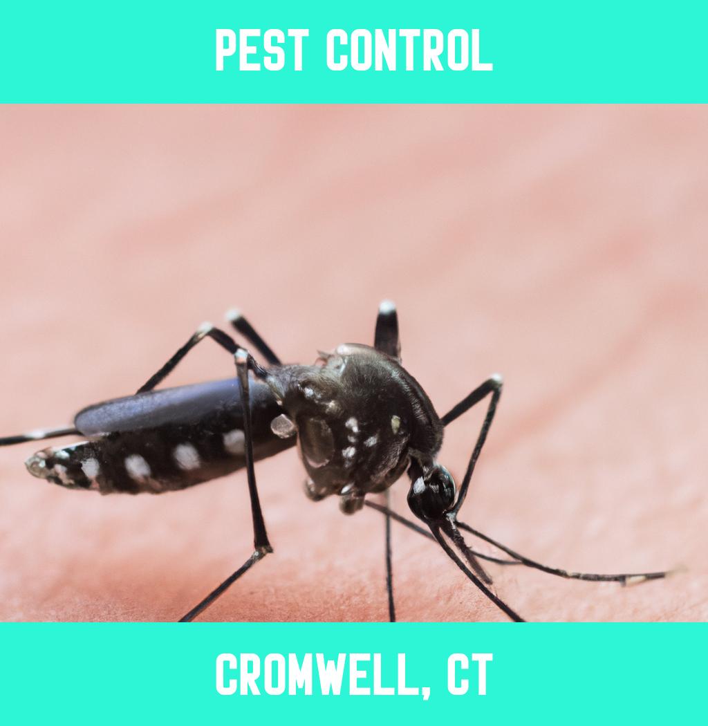 pest control in Cromwell Connecticut
