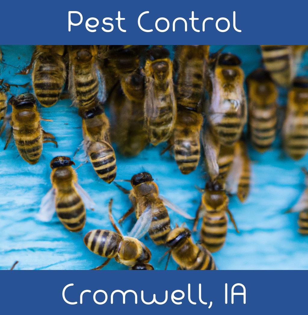 pest control in Cromwell Iowa