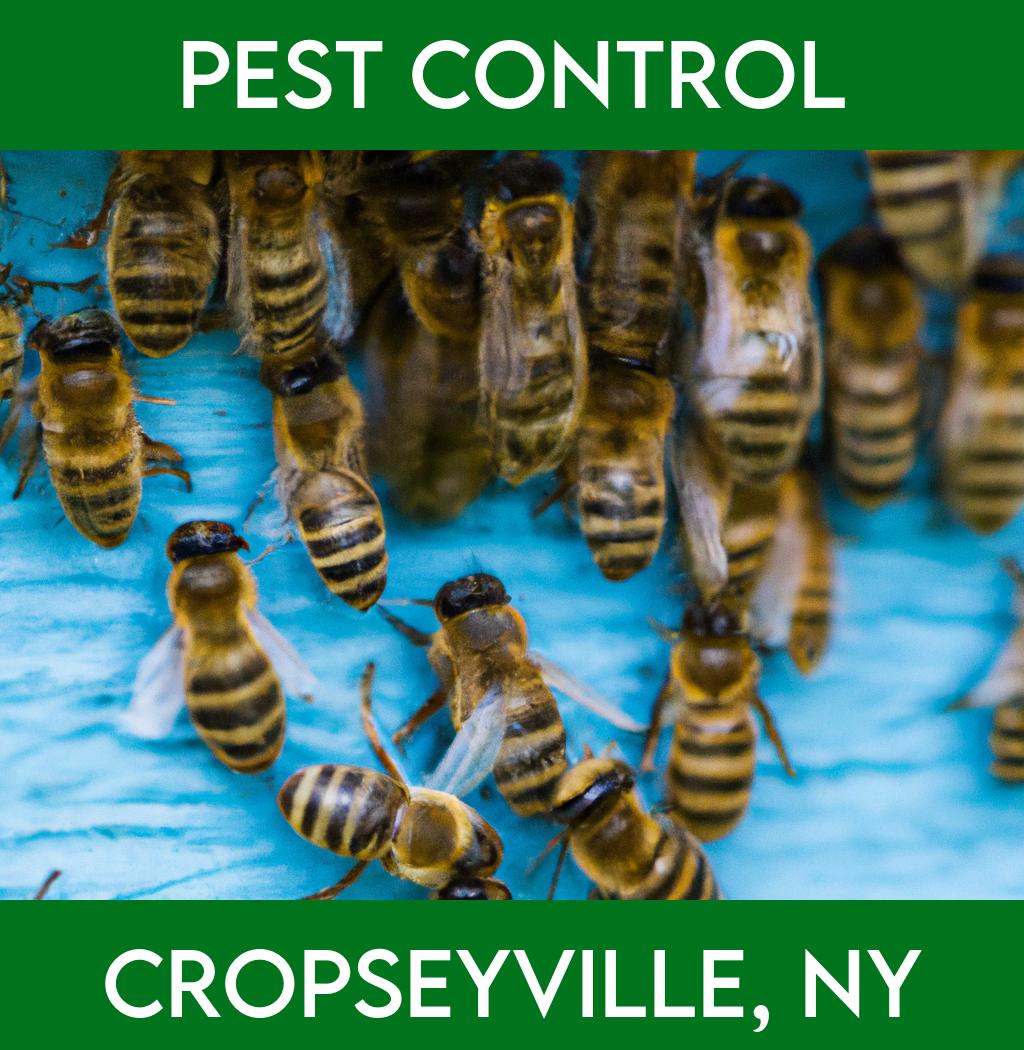 pest control in Cropseyville New York