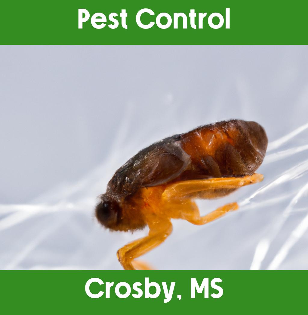 pest control in Crosby Mississippi