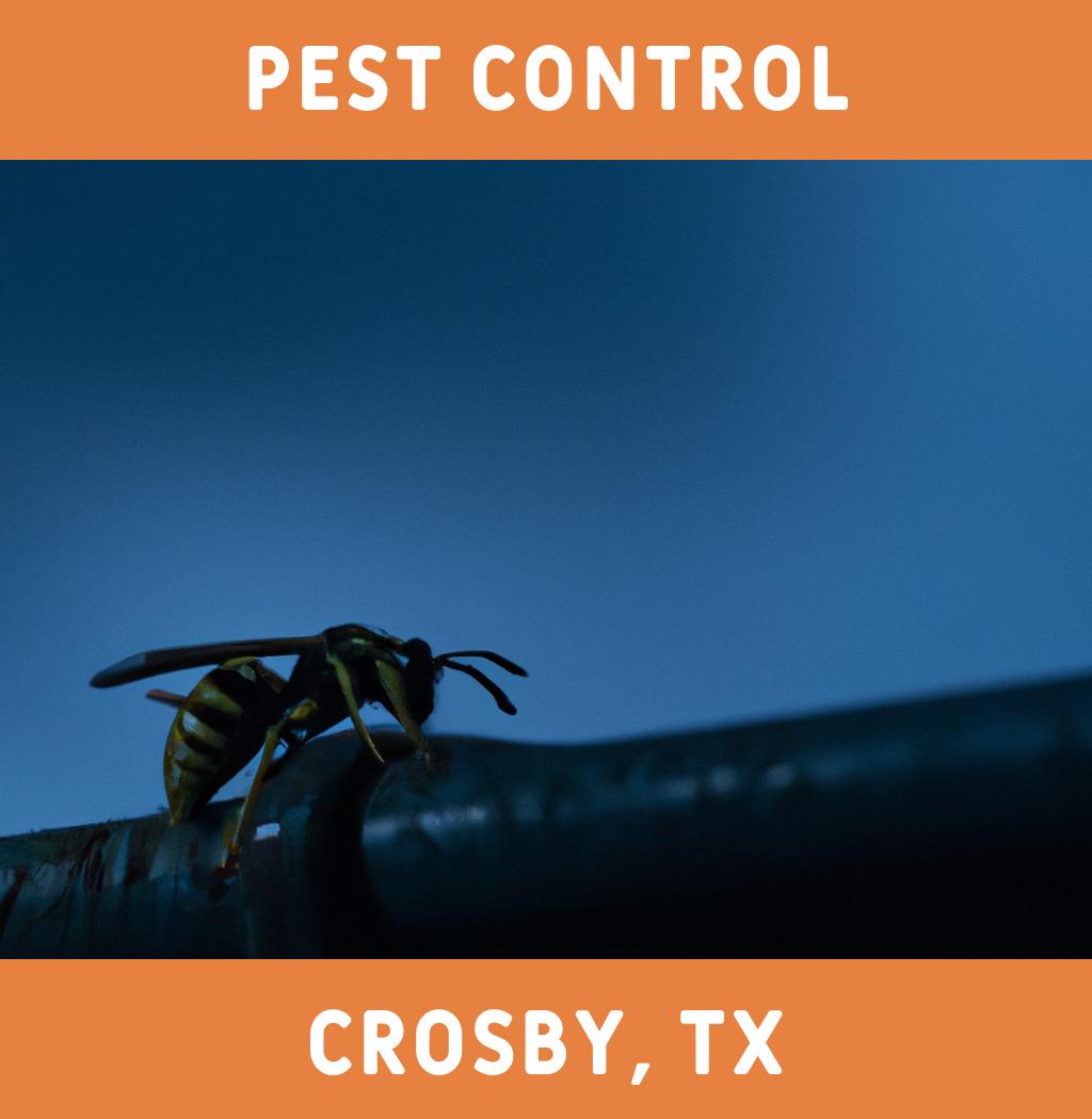 pest control in Crosby Texas