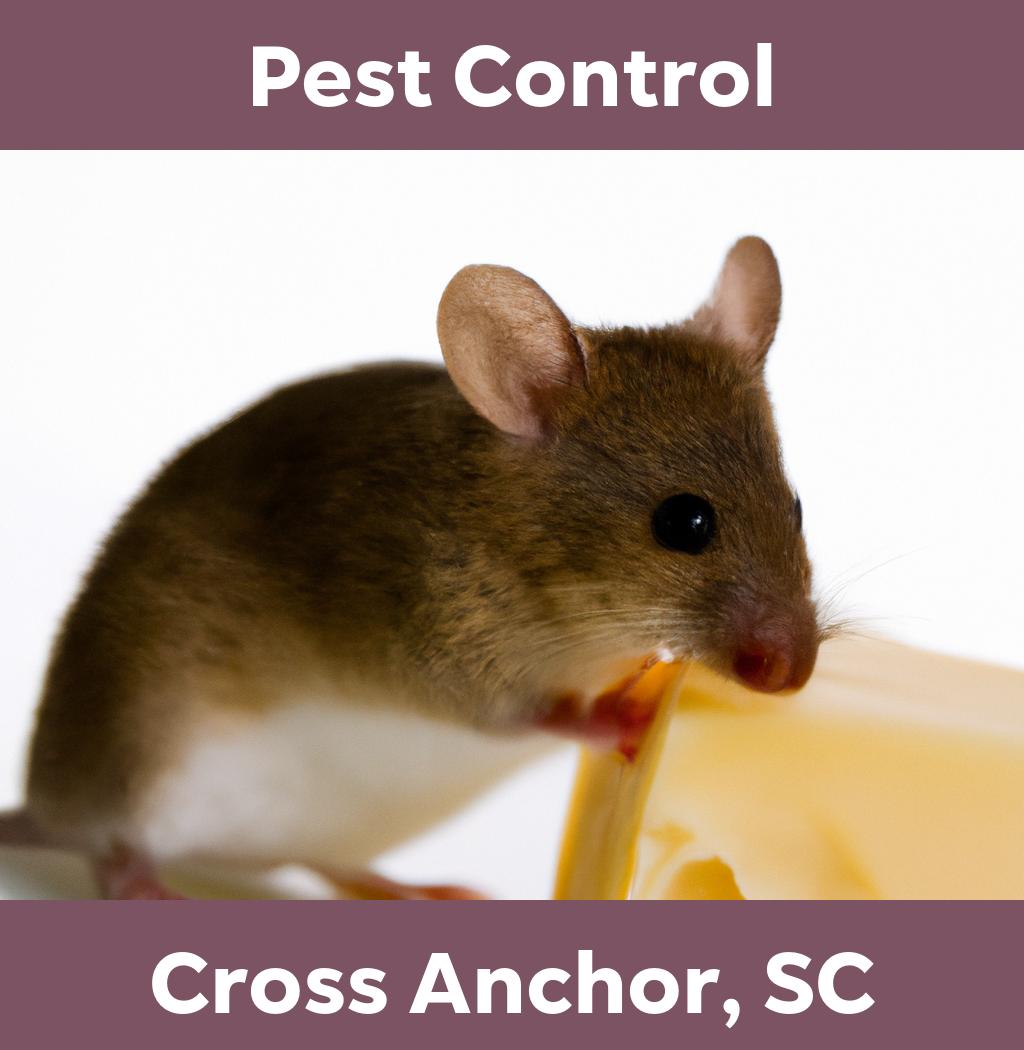 pest control in Cross Anchor South Carolina