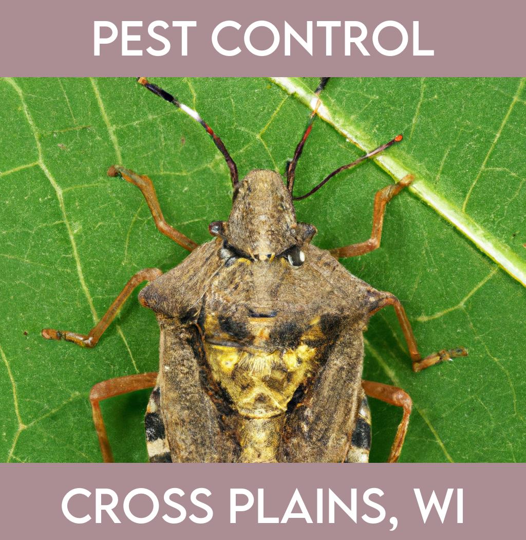 pest control in Cross Plains Wisconsin