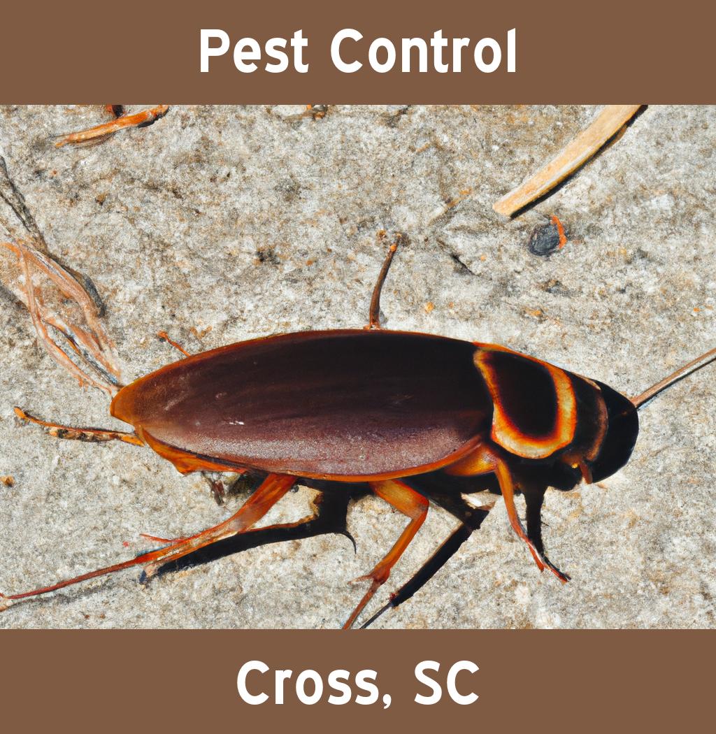 pest control in Cross South Carolina