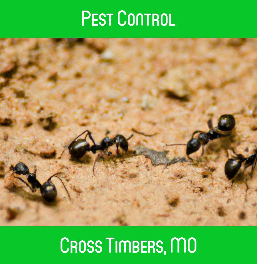 pest control in Cross Timbers Missouri
