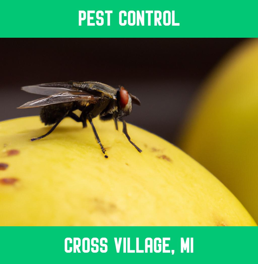 pest control in Cross Village Michigan