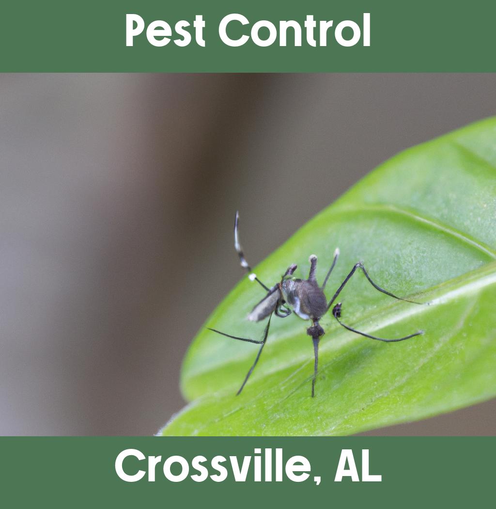 pest control in Crossville Alabama