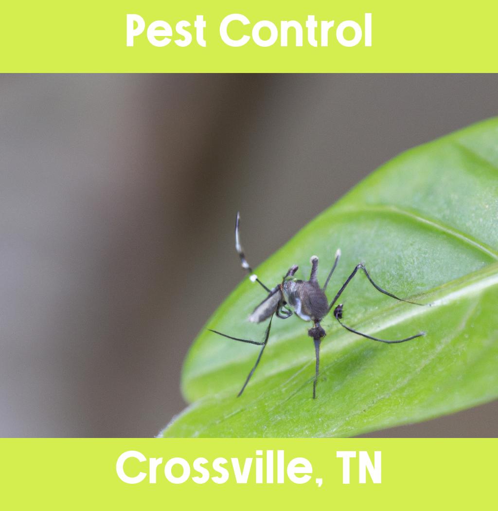 pest control in Crossville Tennessee