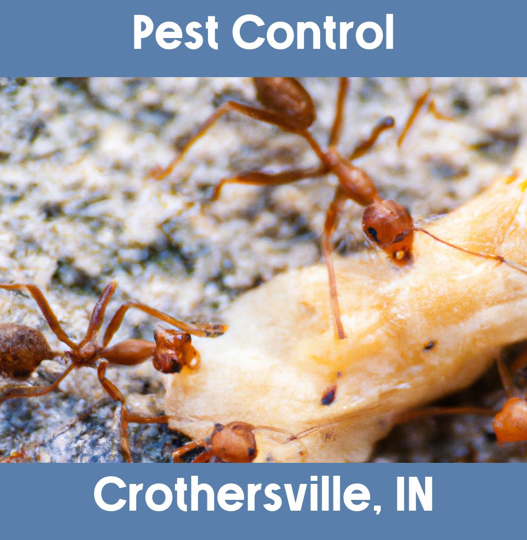 pest control in Crothersville Indiana