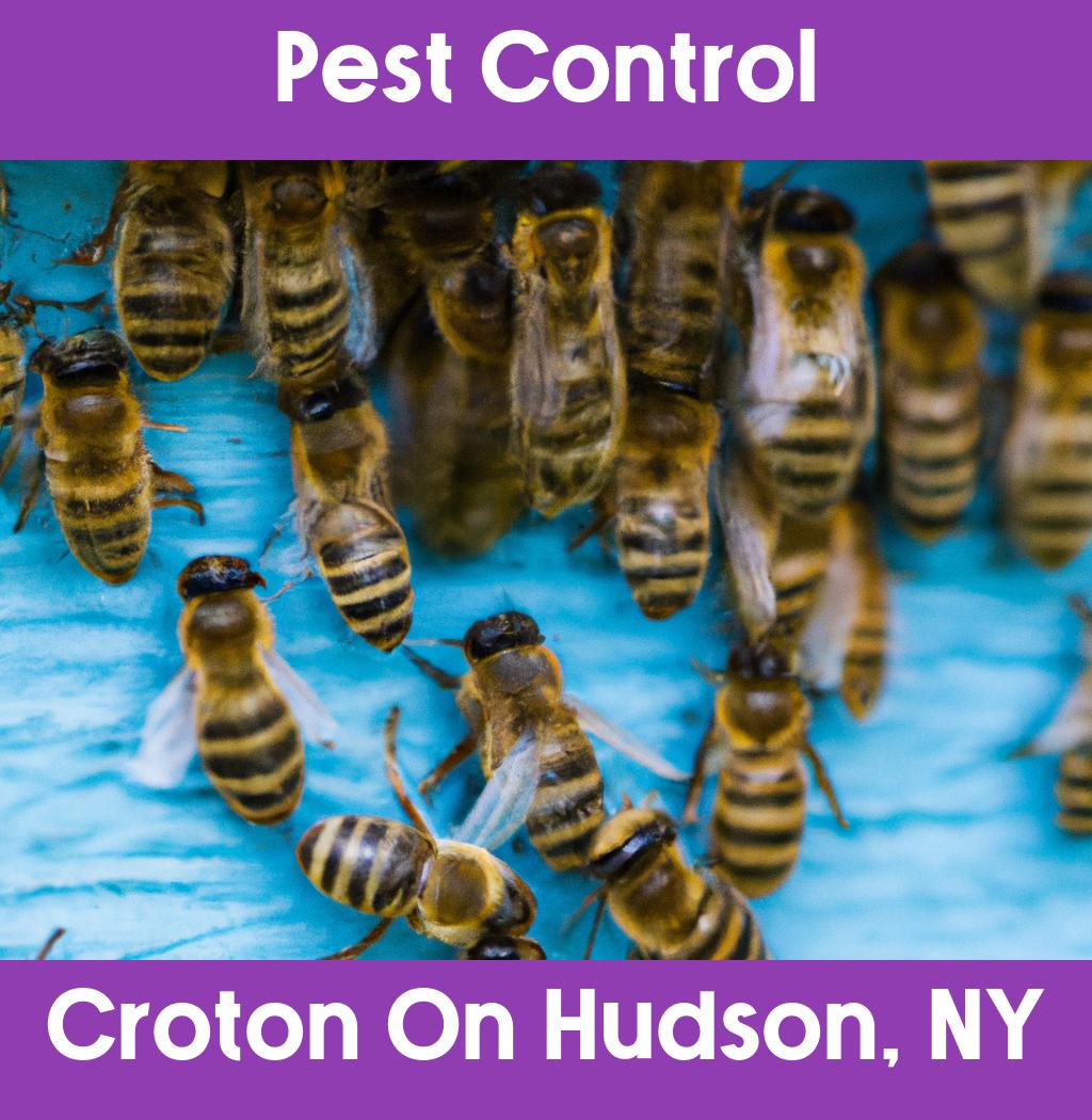 pest control in Croton On Hudson New York