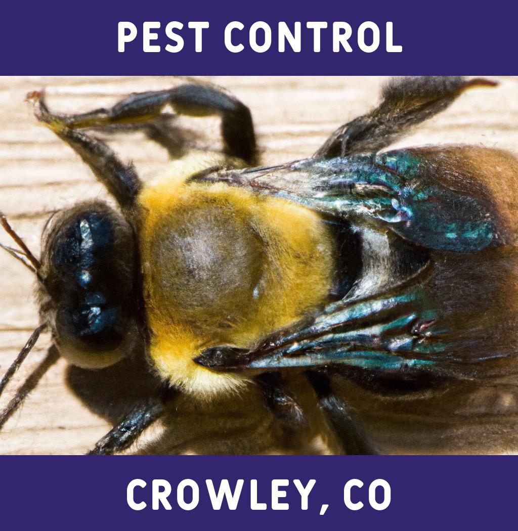 pest control in Crowley Colorado