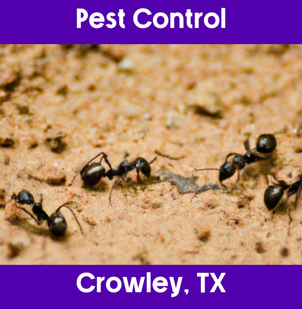 pest control in Crowley Texas