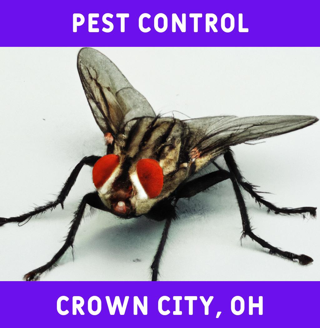 pest control in Crown City Ohio