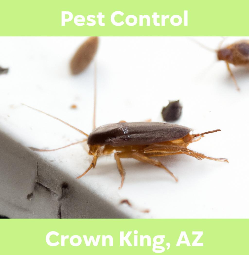 pest control in Crown King Arizona