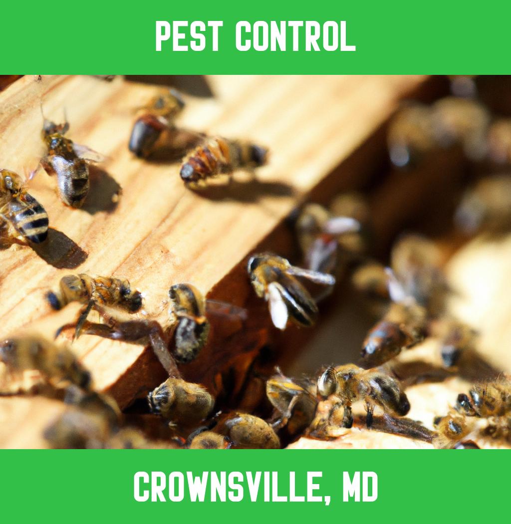 pest control in Crownsville Maryland