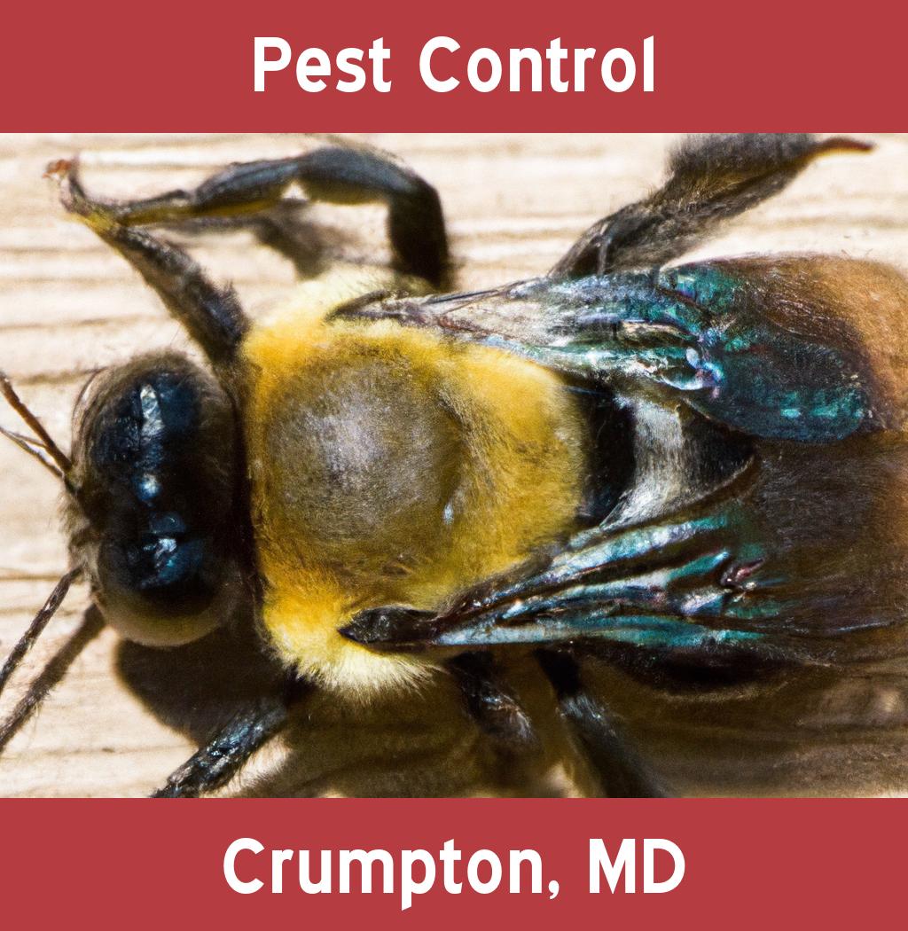 pest control in Crumpton Maryland