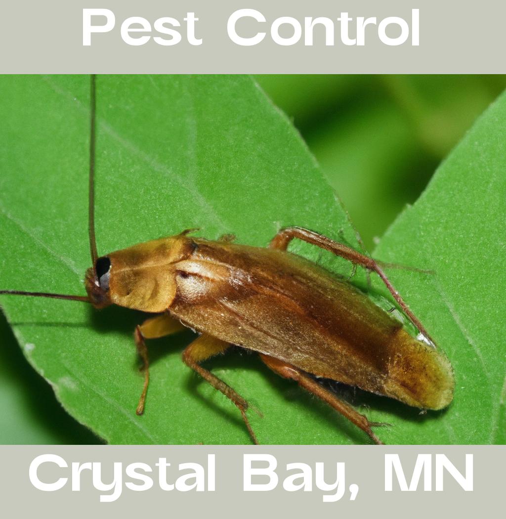 pest control in Crystal Bay Minnesota