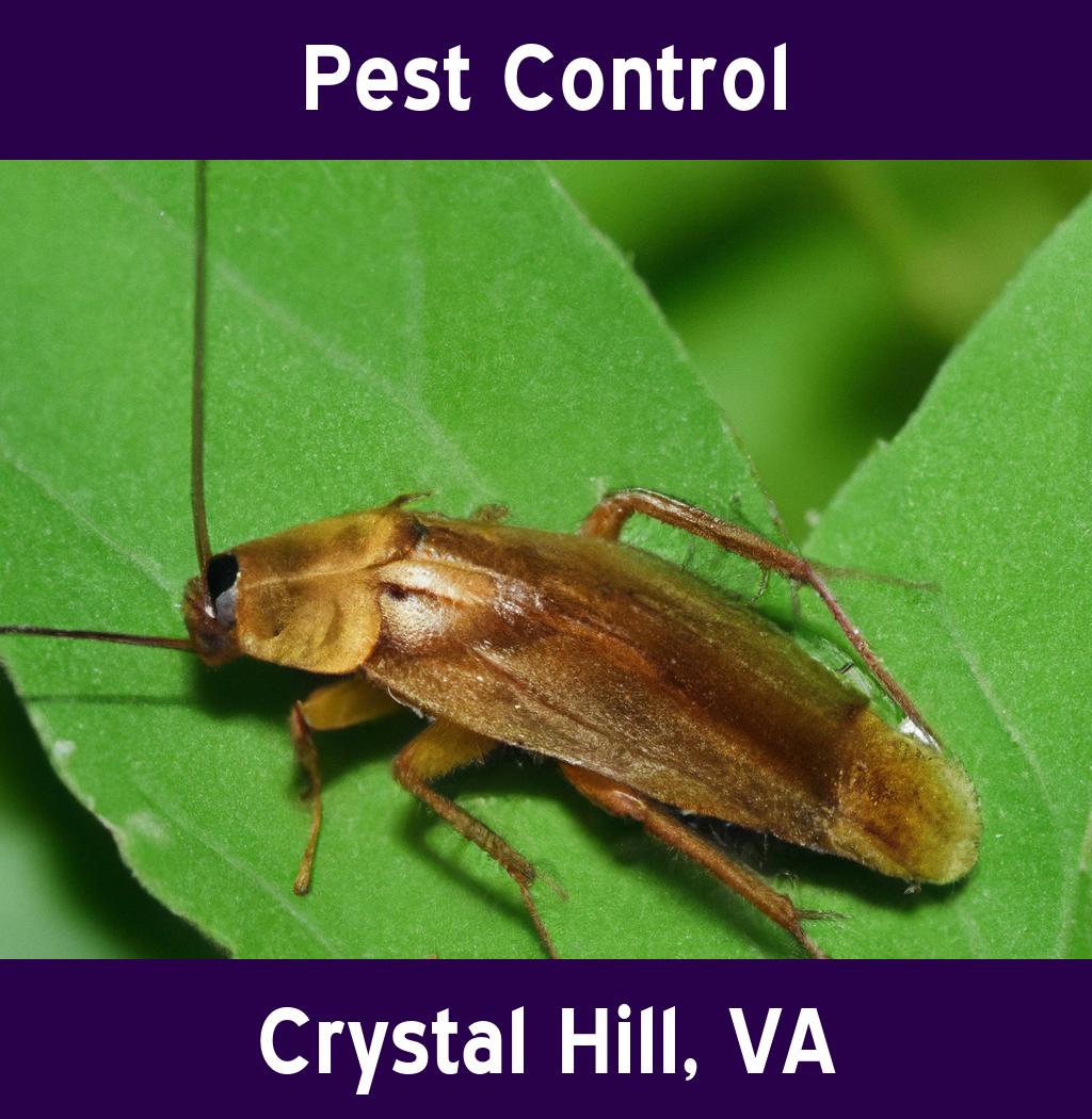 pest control in Crystal Hill Virginia