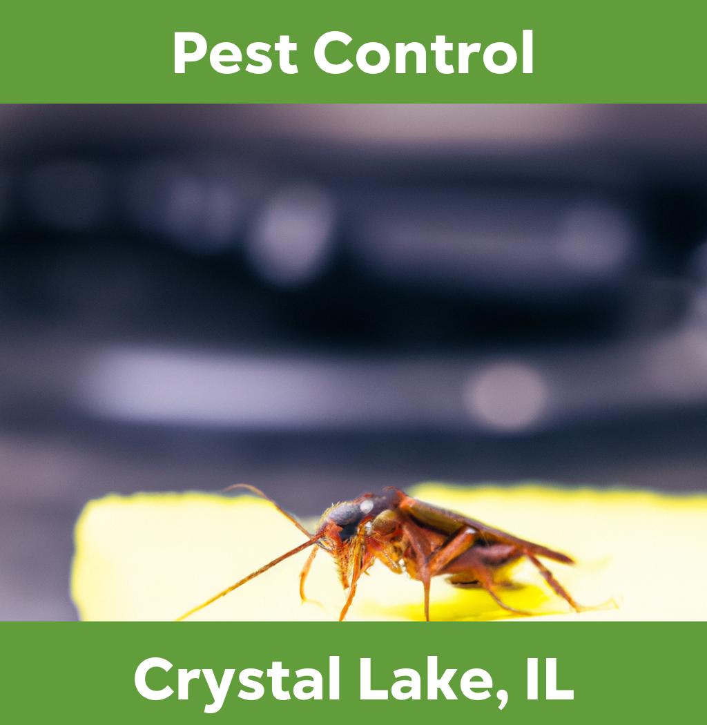 pest control in Crystal Lake Illinois