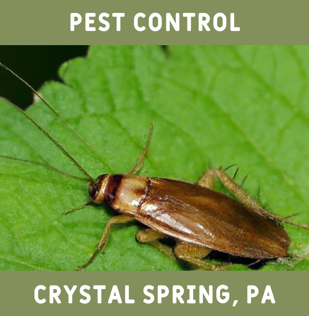 pest control in Crystal Spring Pennsylvania