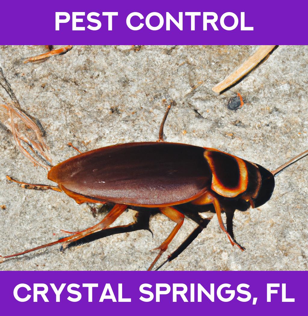 pest control in Crystal Springs Florida
