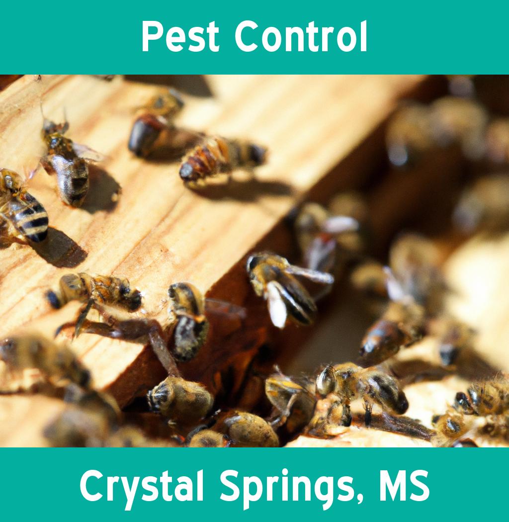pest control in Crystal Springs Mississippi