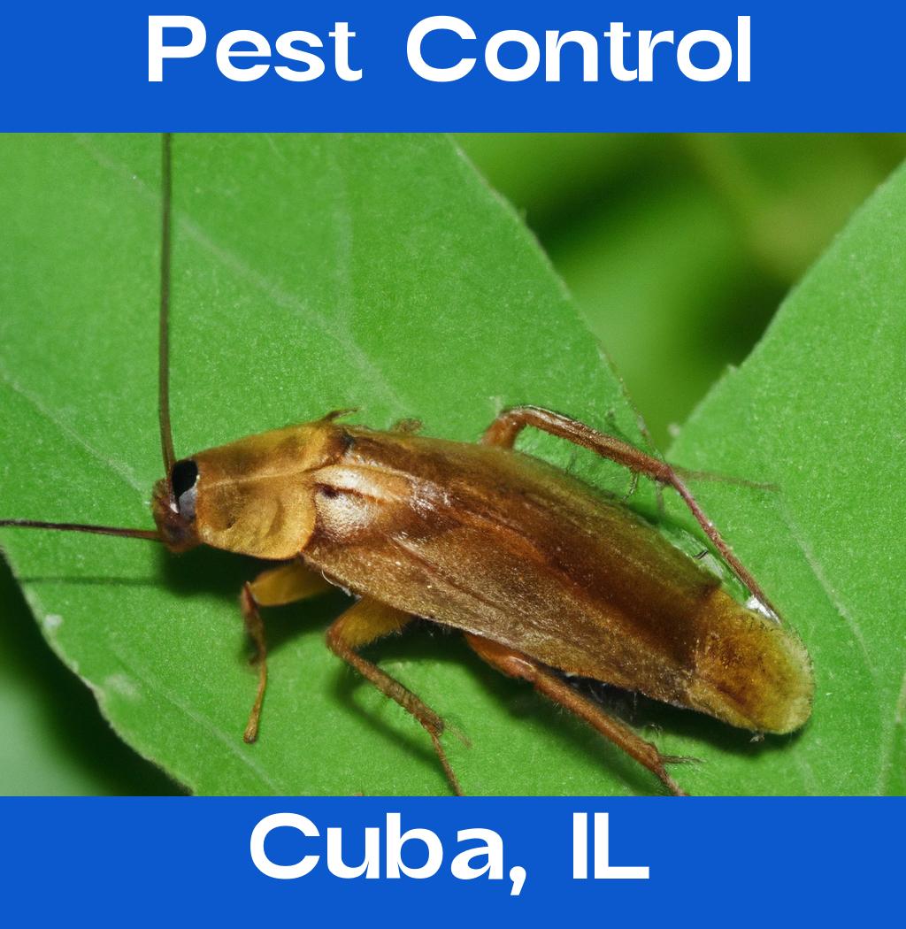 pest control in Cuba Illinois