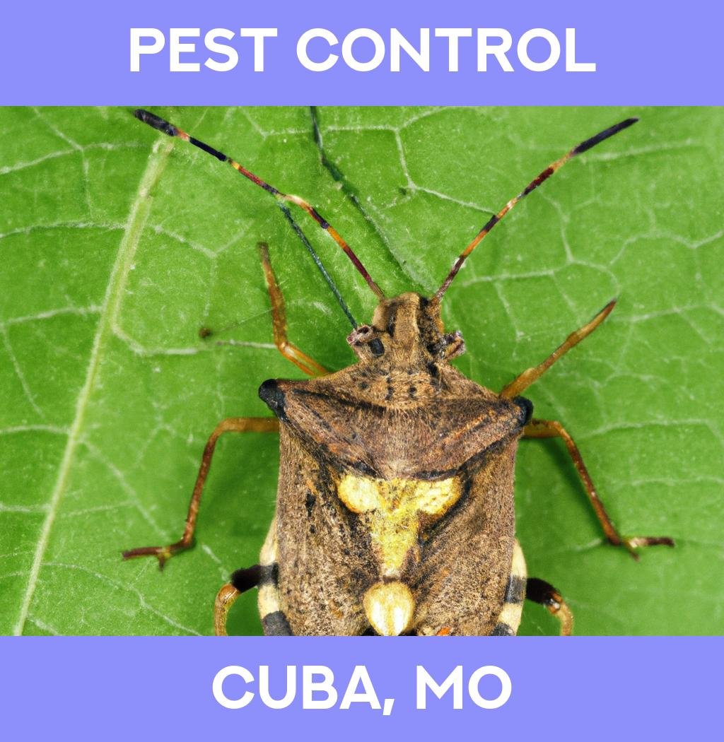 pest control in Cuba Missouri