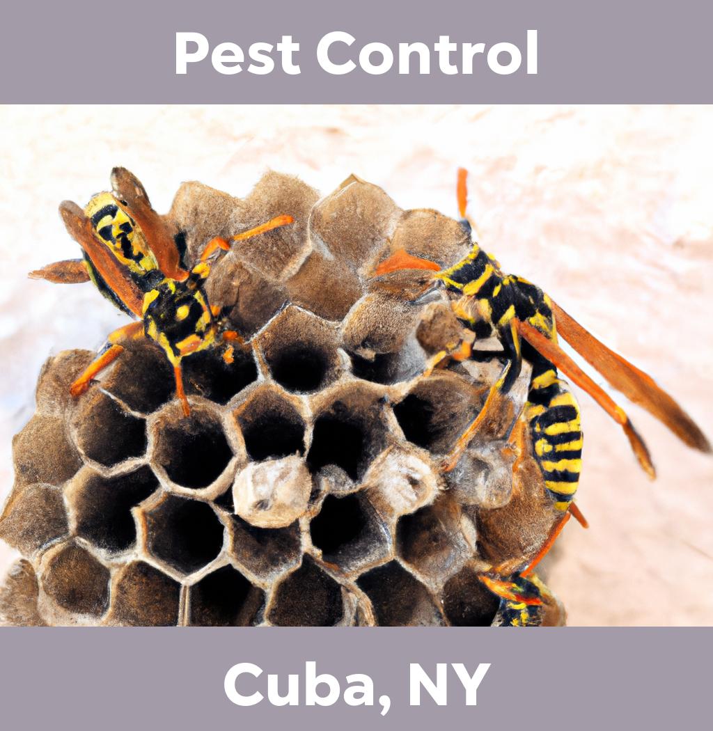 pest control in Cuba New York