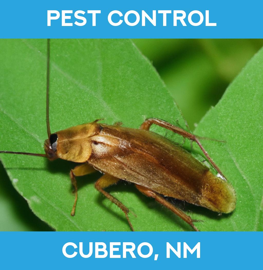 pest control in Cubero New Mexico