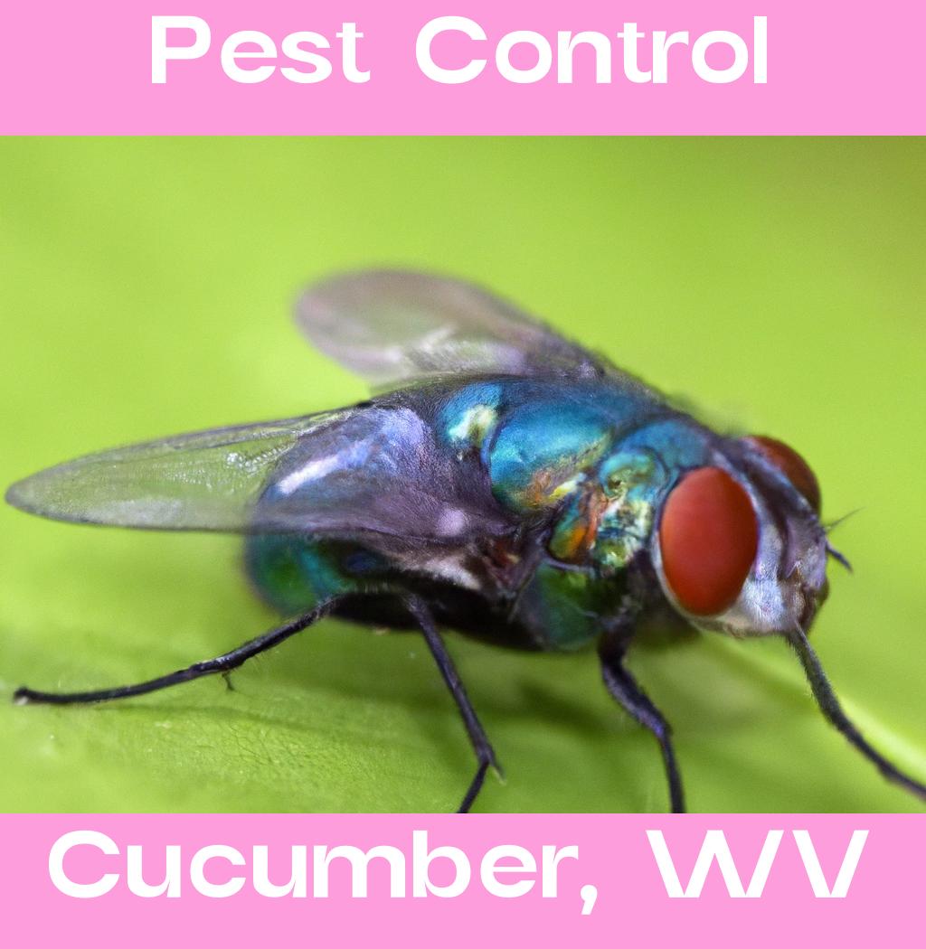 pest control in Cucumber West Virginia