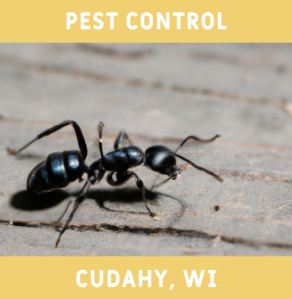 pest control in Cudahy Wisconsin