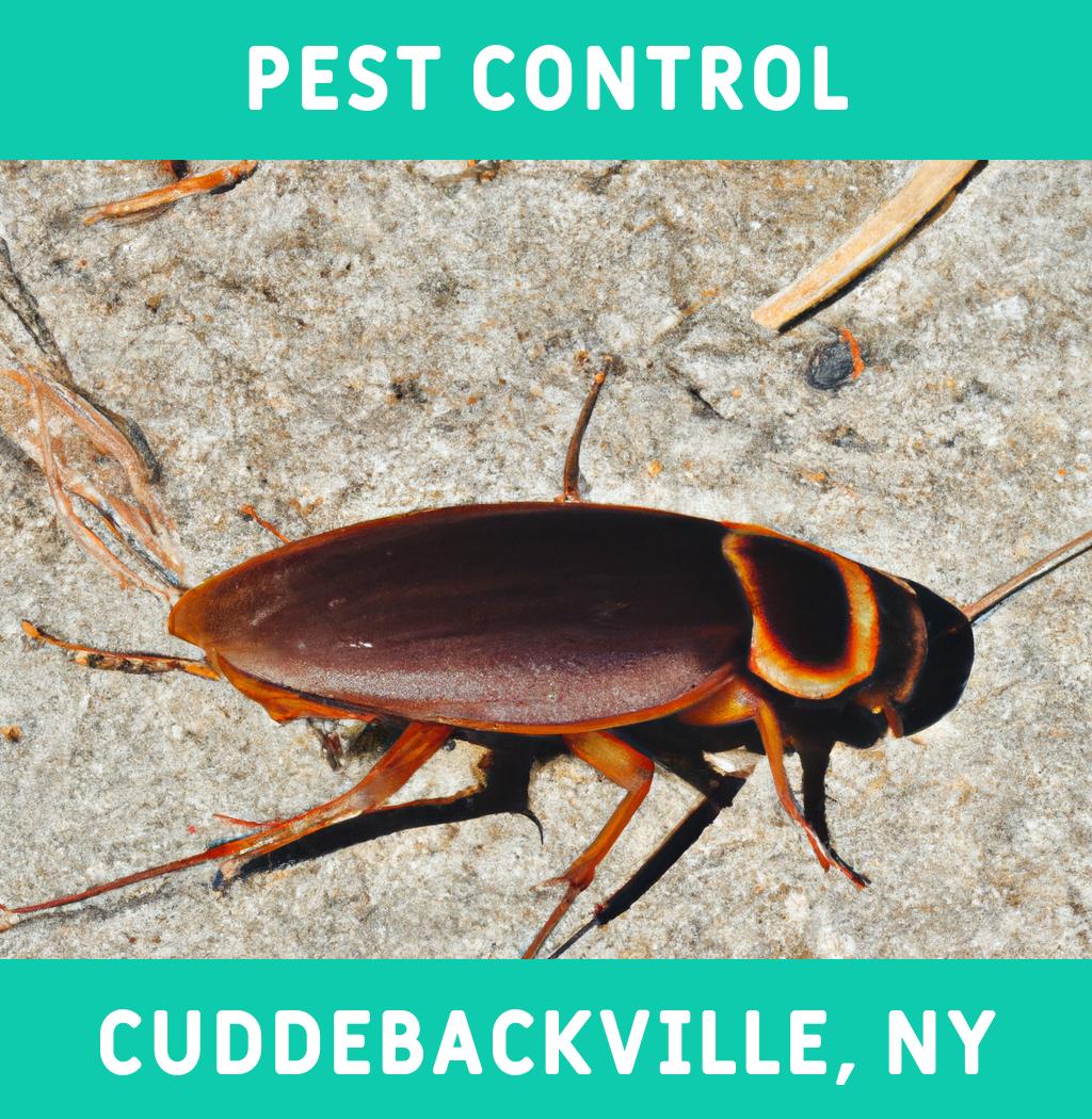 pest control in Cuddebackville New York
