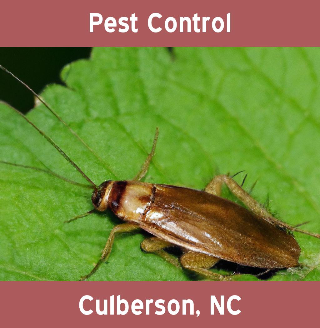 pest control in Culberson North Carolina