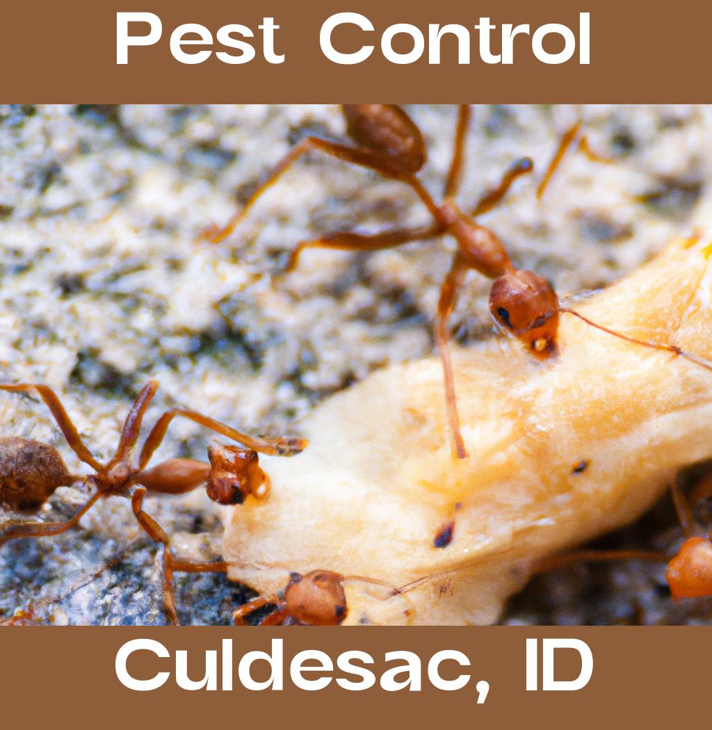 pest control in Culdesac Idaho