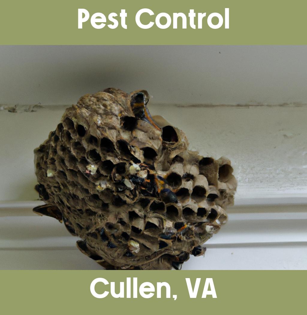 pest control in Cullen Virginia