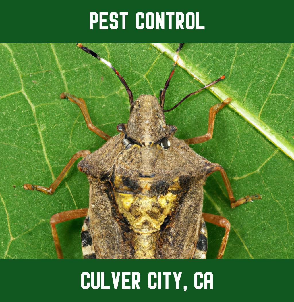 pest control in Culver City California