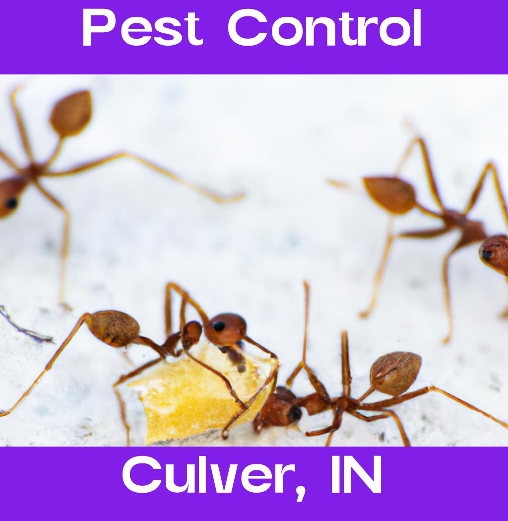 pest control in Culver Indiana