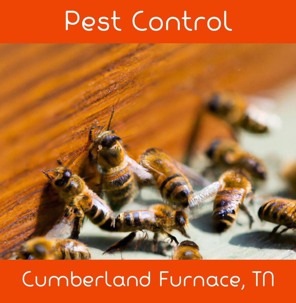 pest control in Cumberland Furnace Tennessee