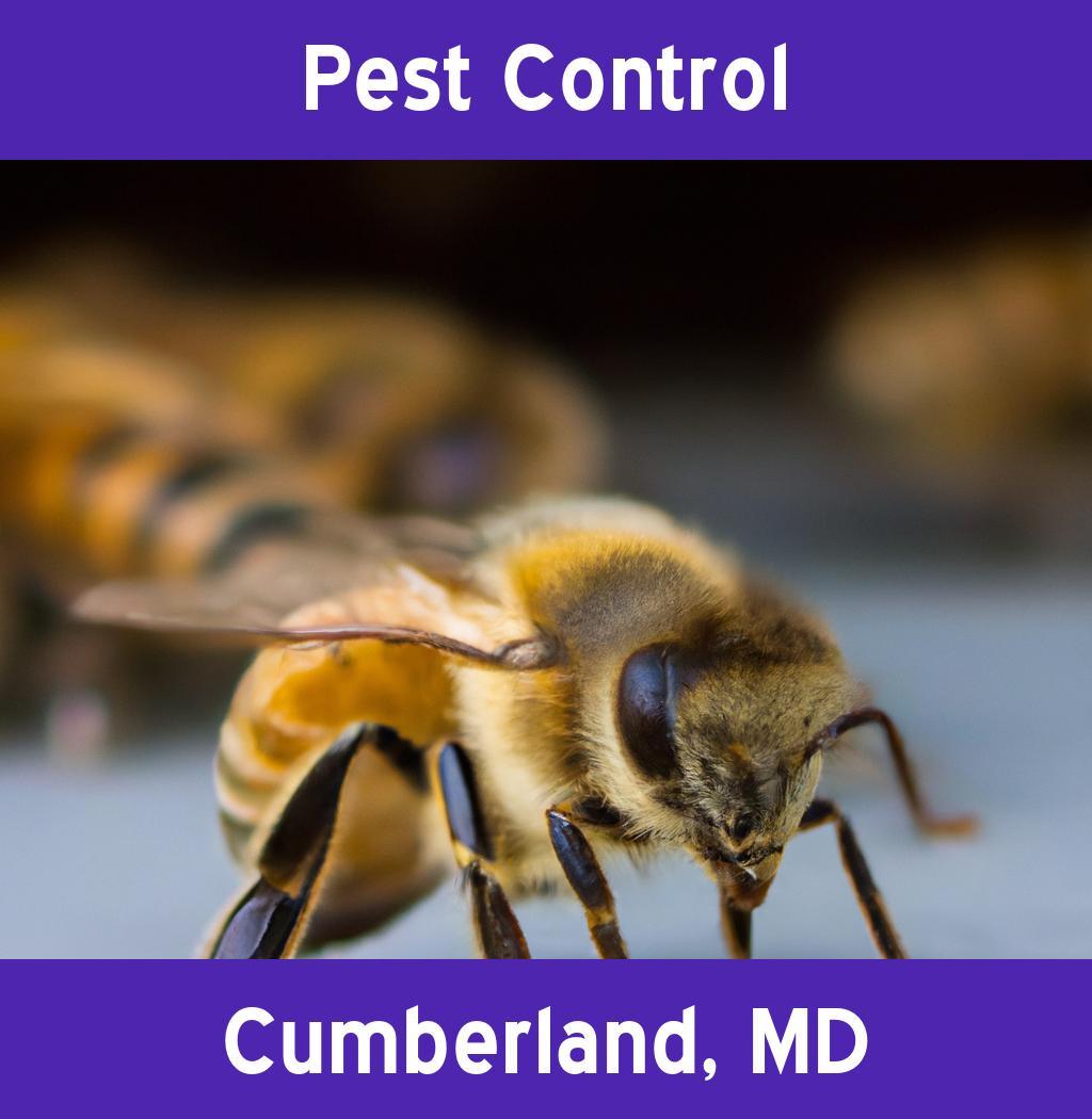 pest control in Cumberland Maryland