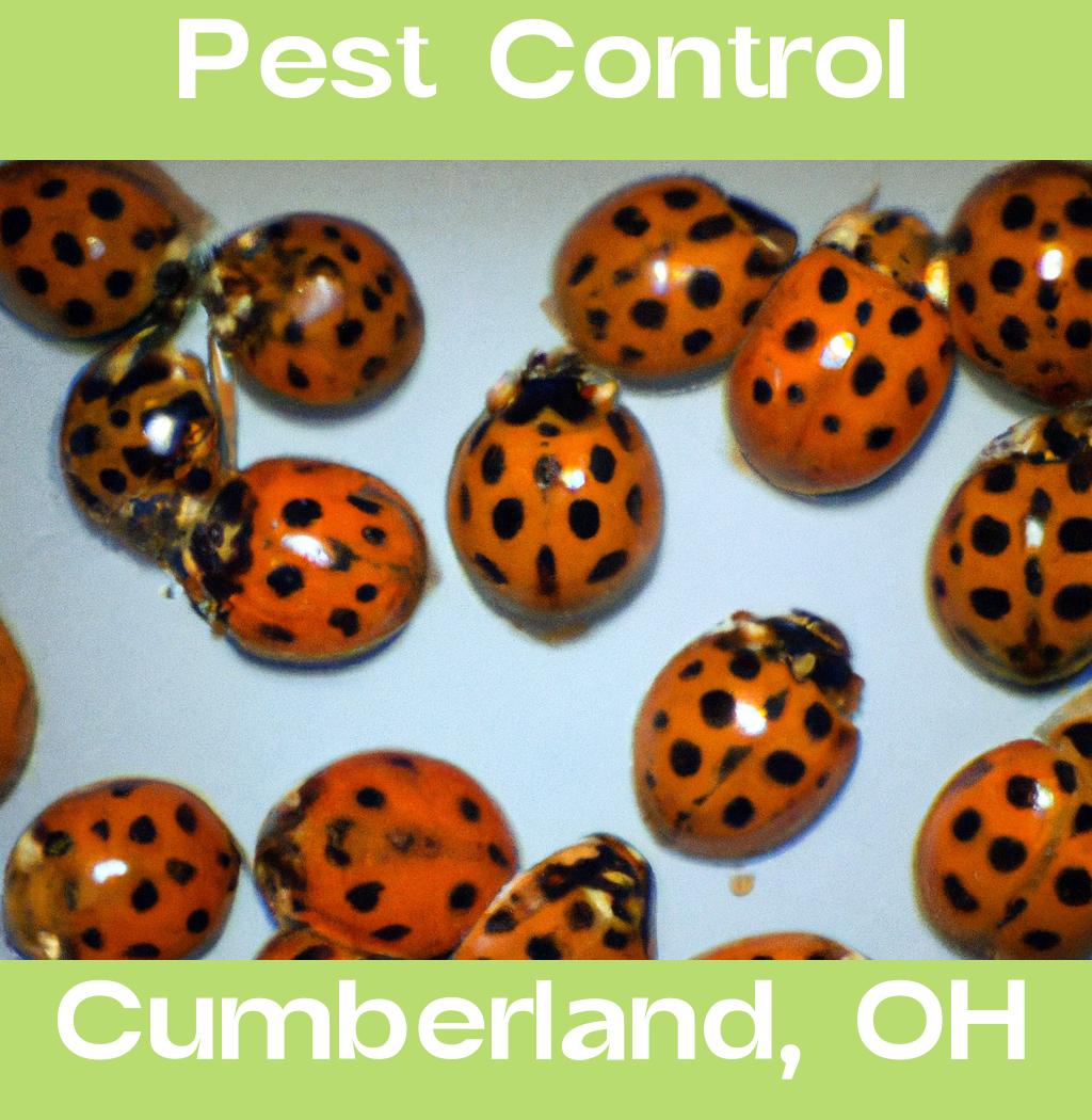 pest control in Cumberland Ohio