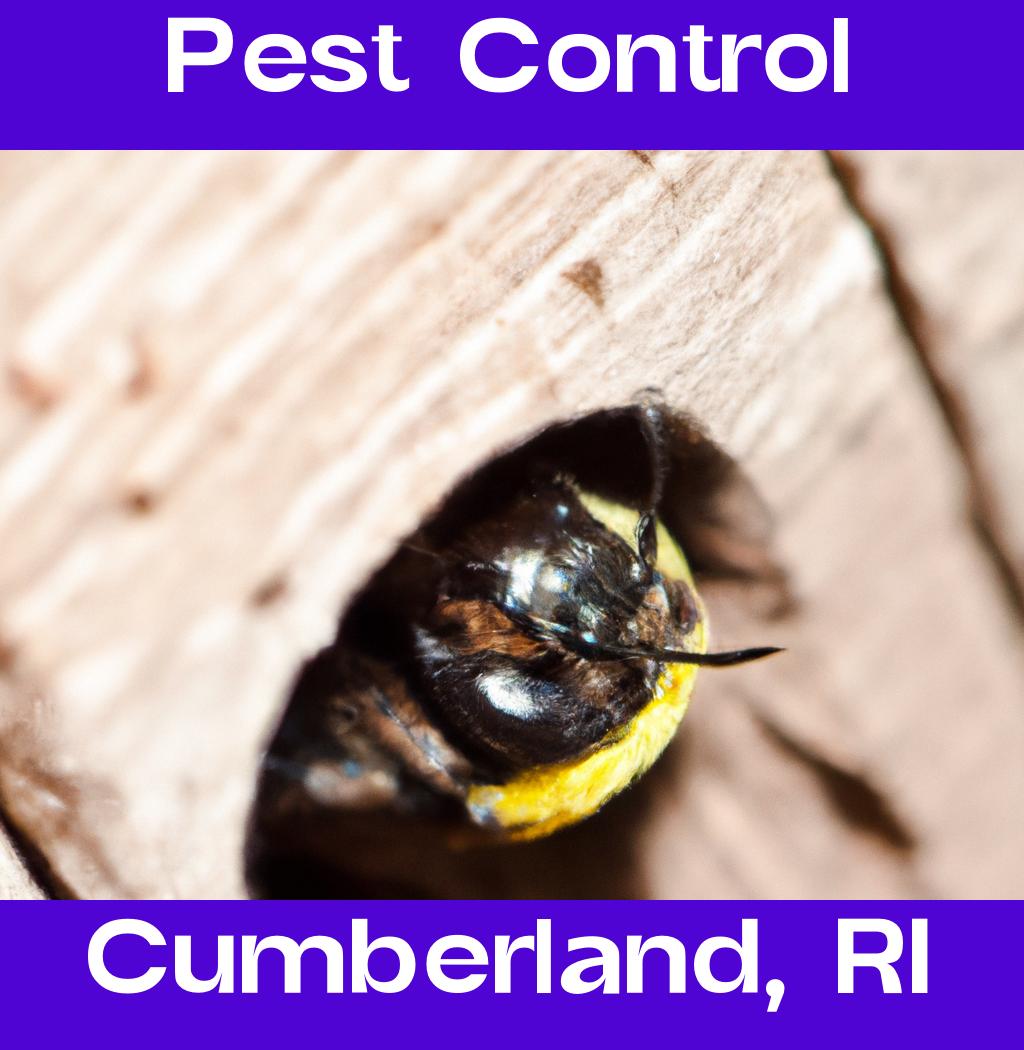 pest control in Cumberland Rhode Island