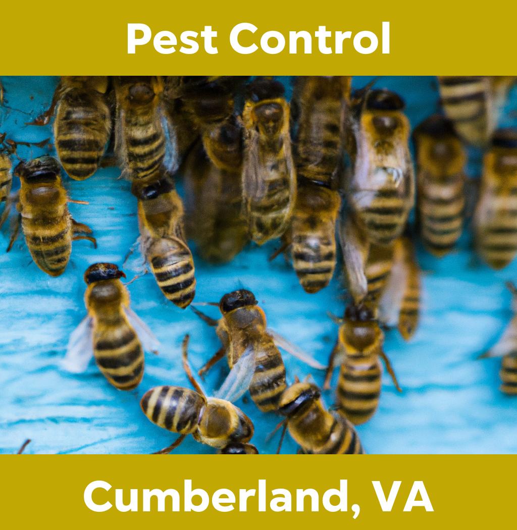 pest control in Cumberland Virginia