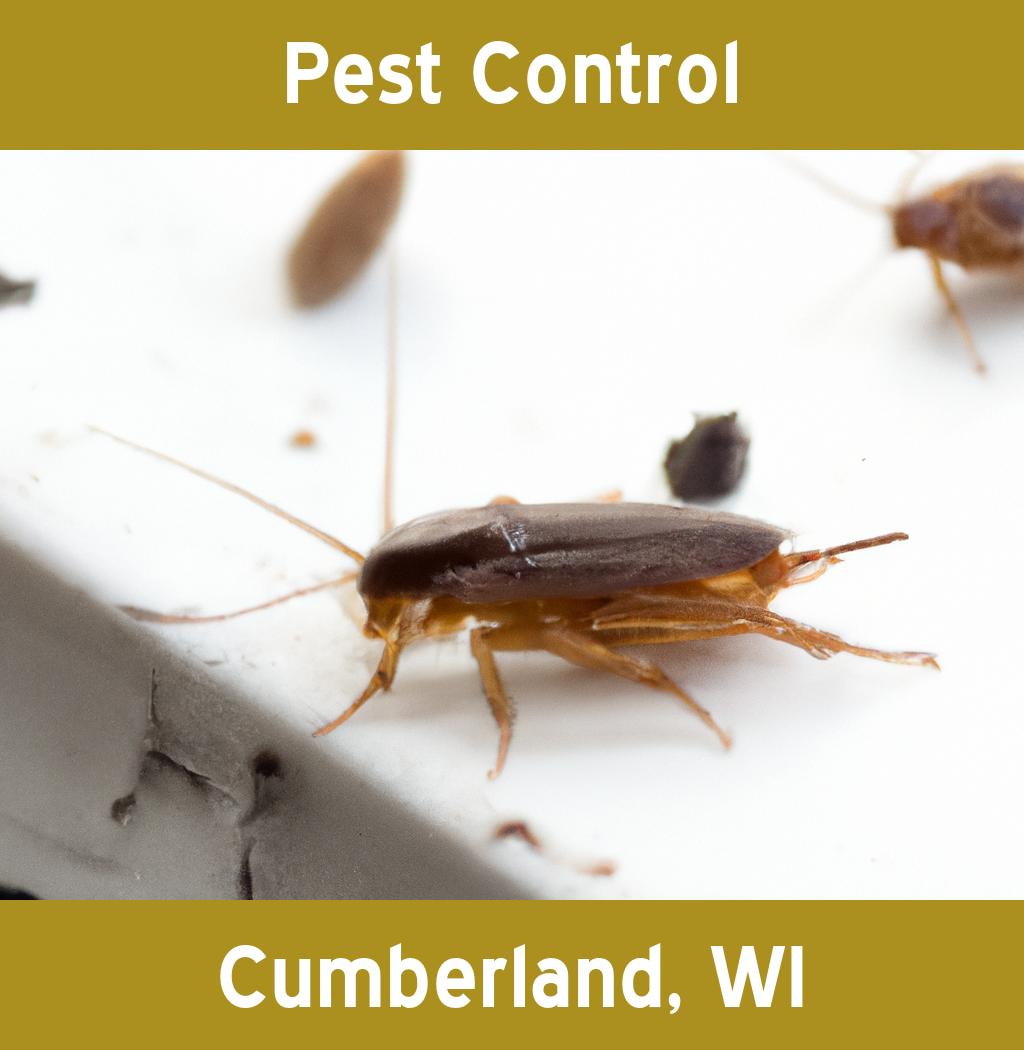 pest control in Cumberland Wisconsin