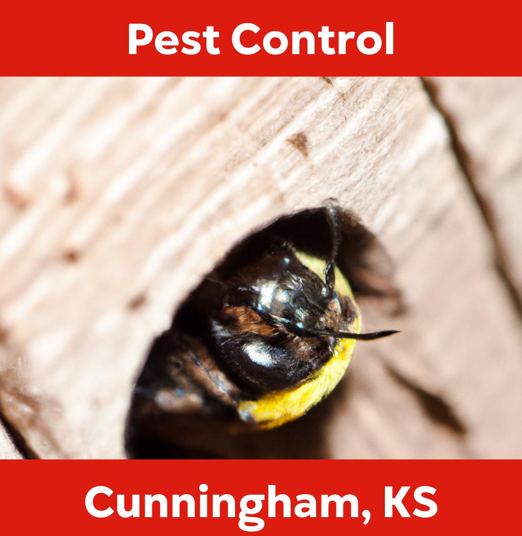 pest control in Cunningham Kansas